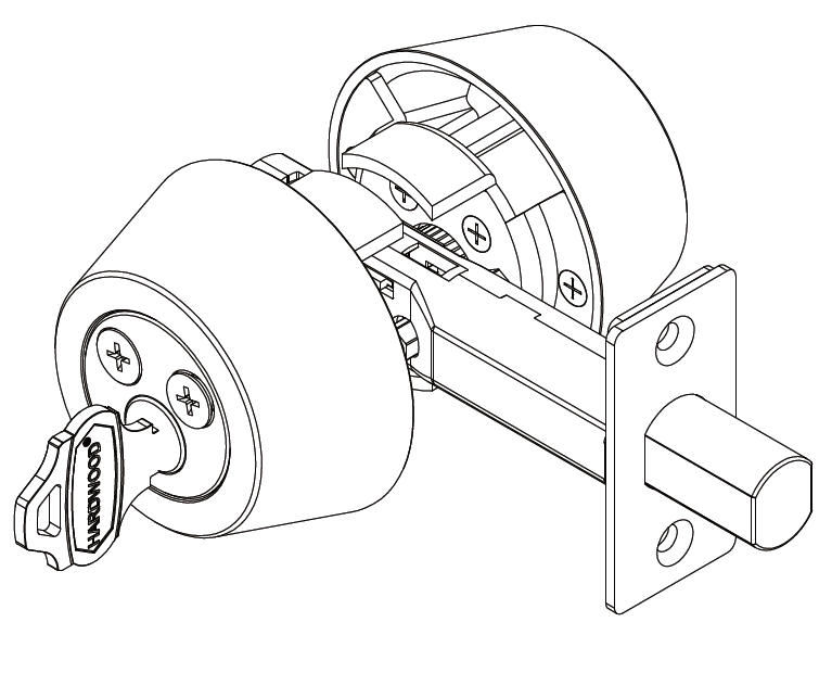 T21 function figure