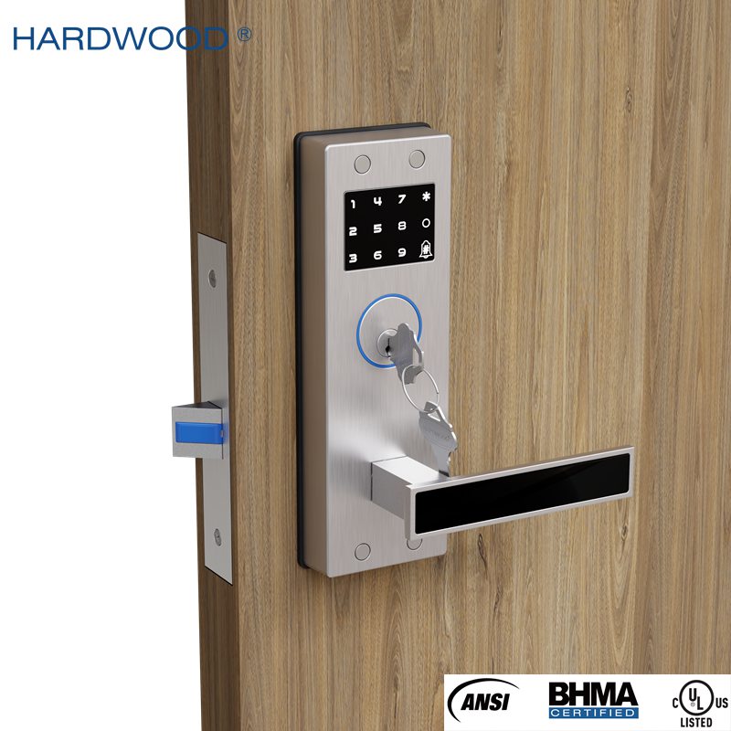 M50 Electronic Mortise Lock &ndash; Entry Lock